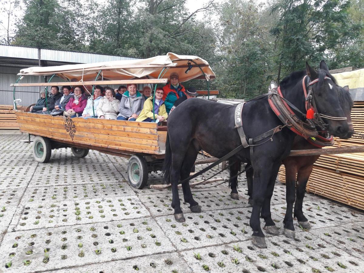 Agroturystyka U Misia Niedźwiedź Buitenkant foto